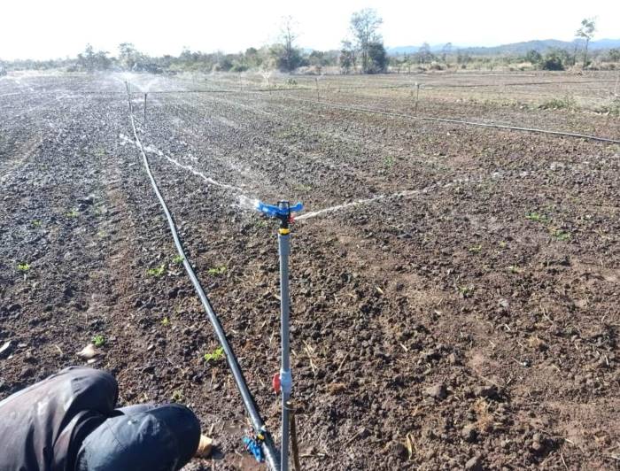 Béc tưới cây cánh đập Béc tưới cây cánh đập